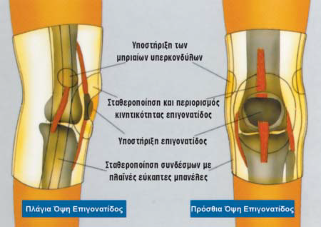 Ελαστική Επιγονατίδα με Επίθεμα Σιλικόνης και Πλάγιες Εύκαμπτες Μπανέλλες Ortholand ΟΙΚ / Genulastik